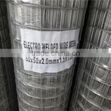 2x2 galvanized welded wire mesh