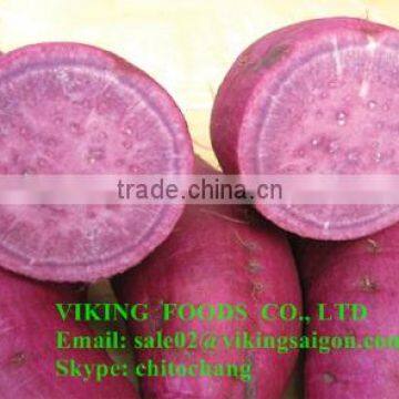 FRESH SWEET POTATO_ HIGH QUALITY_ BEST PRICE FROM VIETNAM