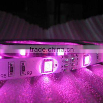 30leds 5050 led strip light IP65 Water proof