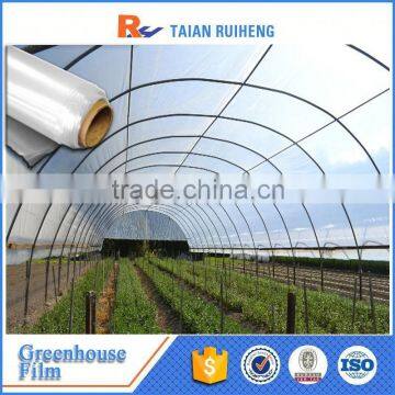 Virgin Material Greenhouse Film With Factory Price, PE Greenhouse Film. photo-4