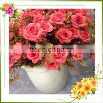 Flower Import China Silk Camellia Blossoms