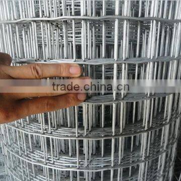 Holland Wire Mesh/Galvanized Welded Wire Mesh/Epoxy Coated Welded Wire Mesh photo-5