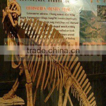 High Simulation Dinosaur Fossil Replica for sale