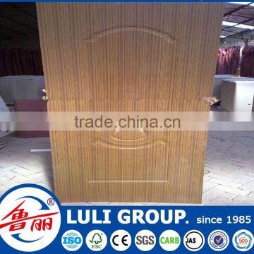 Door Skin
