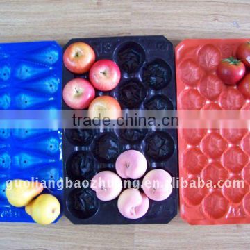 Plastic PP Packing Food Tray