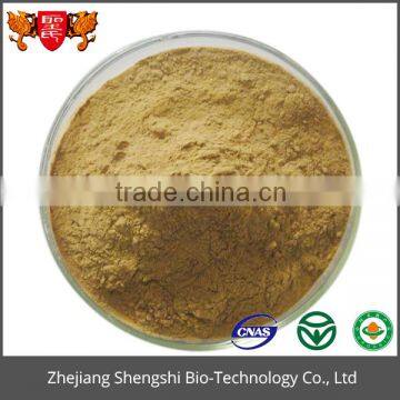 ISO GMP Factory 100% Pure Natural Mulberry Leaf Extract photo-5