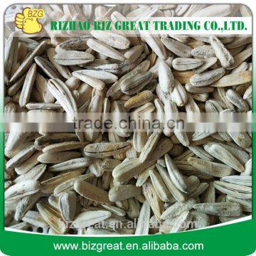 Roasted sunflower seeds With Salt Coat for Supply                        
                                                Quality Choice