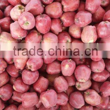 Huaniu Apple photo-3