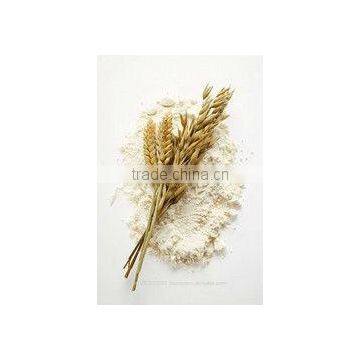 Wheat Flour