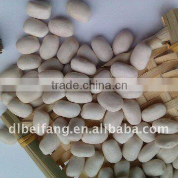 Organic Medium White Kidney Beans( 2011 crop, heilongjiang origin. hps quality)