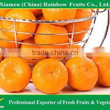 Fresh Ponkan Citrus Orange from China