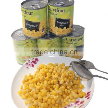 canned sweet corn 3kg in tin