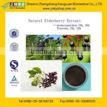 Natural Elderberry Extract from GMP Manufacturer