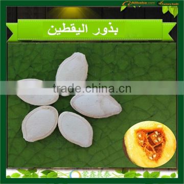 Chinese market price snow white pumpkin seeds 2015