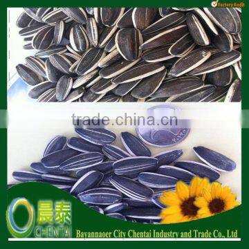 Round Shape Best Quality Striped Sunflower Seeds China