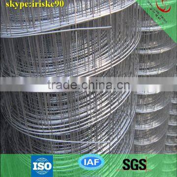 high quality Hot dip galvanized welded wire mesh from China supplier