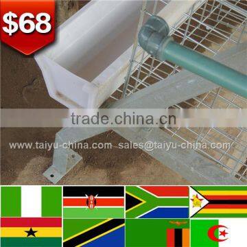 Trade Assurance NO.1 A Type Frame Quality Galvanized 3 Tier Layer Hen Cage photo-4