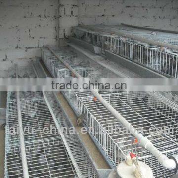 durable Pyramidal or Vertical type Quail cage for sale