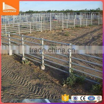 Free sample for 2017 cattle yard fence galvanized pipe horse fence