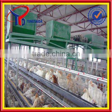 poultry automatic feeding system (ISO9001 factory)