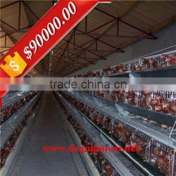 Automatic feeding equipment A type automatic chicken cages