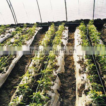 Greenhouse Irrigation System