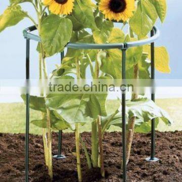 Plants Support 8pc/set,2015 Hot Selling photo-3