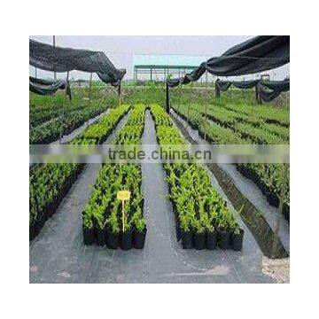pp Spunbond Nonwoven Fabric Ground Cover Weed Control Mat photo-4
