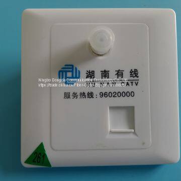 Fiber faceplate
