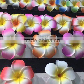 hot sell egg flower wholesale flower