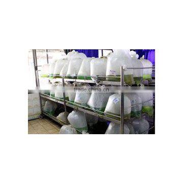 Ornamental Fish Farm and Export Company photo-4