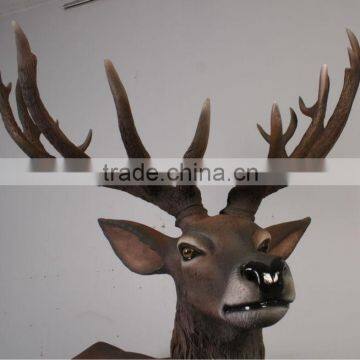 Red Deer Stag photo-3