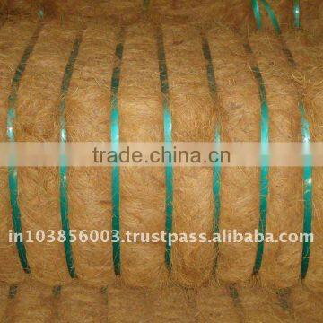 Coir Fibre