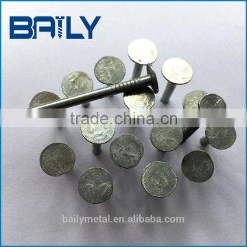 2017 Factory Supply Best Price of Reliable Common Nails With Loose photo-6
