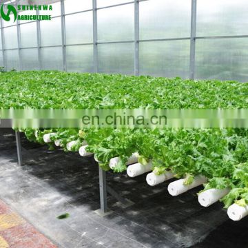 Commercial PVC Hydroponic Grow Systems For Sale