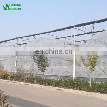 Plastic Film Greenhouse for tomato/lettuce for sale