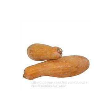 RIZHAO PORT PROVISISON photo-5