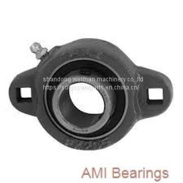 AMI Bearings