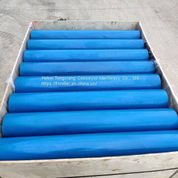 return roller idler rodillos