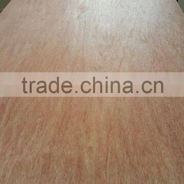 5mm 8mm 10mm 15mm Plywood Sheets/cheap Plywood for Sale photo-2