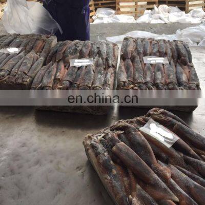Frozen Argentina Illex Squid Frozen Illex Squid Price photo-4