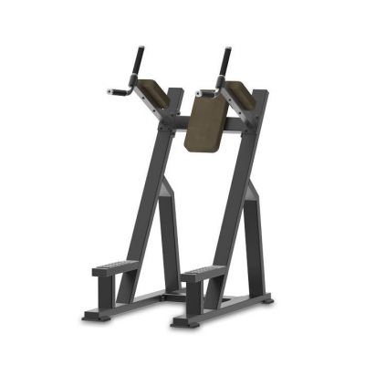 CM-2127 Chin Dip home gym workout equipment