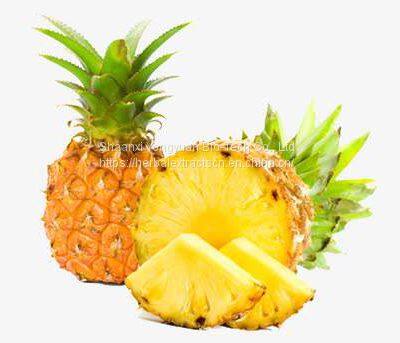 Bromelain, Pinapple Extract, Sem bromelain, Pinspple powder, Pinapple stem Extract bromelain