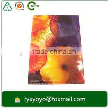 Customzied pp L Shape Clear Folder a4 Size With CMYK Printing photo-6