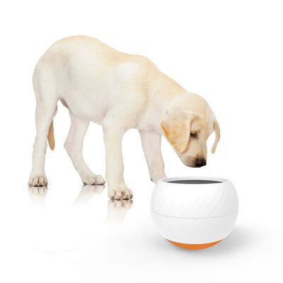 New Pet Slow Feeder Bowl Interactive Wobbler Toy Dish for Dogs & Cats Mental Stimulation Anti-Gulp Puzzle Bowl with Non-Slip Base