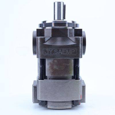 Good Quality Internal Gear Pump QX23-005R-0 Gear Pump for Oil QX23-006R-O QX31-025/33-016R QX46-032R QX81-400R301 photo-4