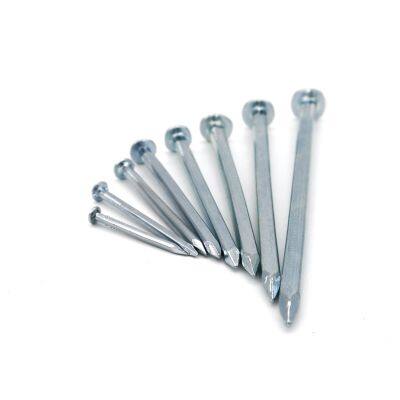 Corrosion-Resistant Boat Nail with Free Sample Offer for Evaluation