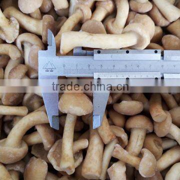 Frozen Pholiota nameko