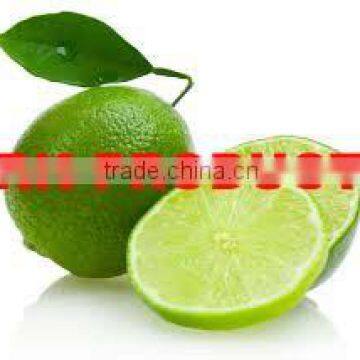Natural & Pure Lime Essential Oil