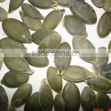 BR No shell high yield hybrid f1 pumpkin seeds